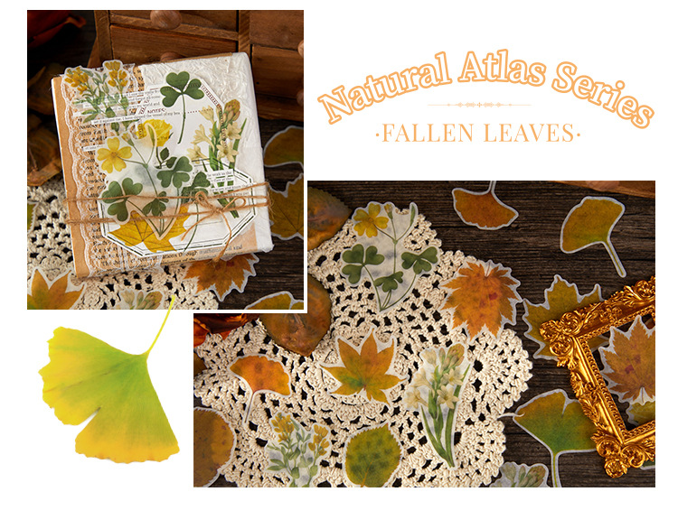 Vintage Botanical Collage Ephemera Pack – 45 Sheets, 6 Designs, Handmade Journaling & Scrapbooking Supplies