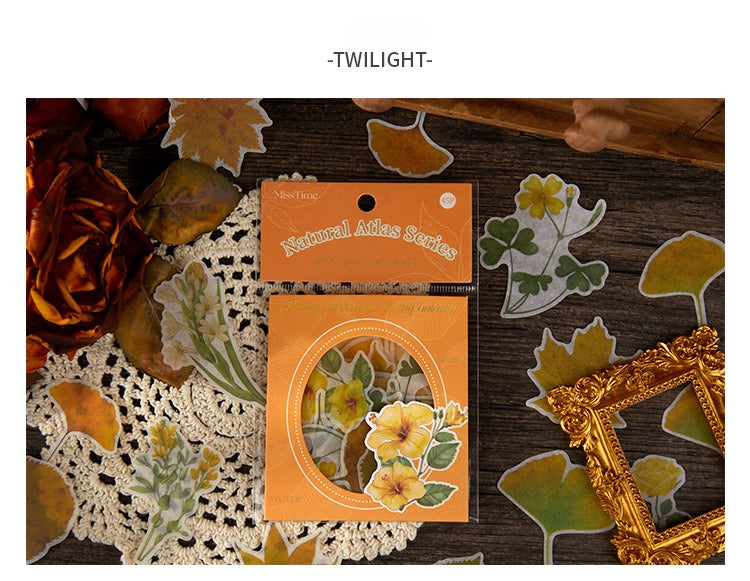 Vintage Botanical Collage Ephemera Pack – 45 Sheets, 6 Designs, Handmade Journaling & Scrapbooking Supplies