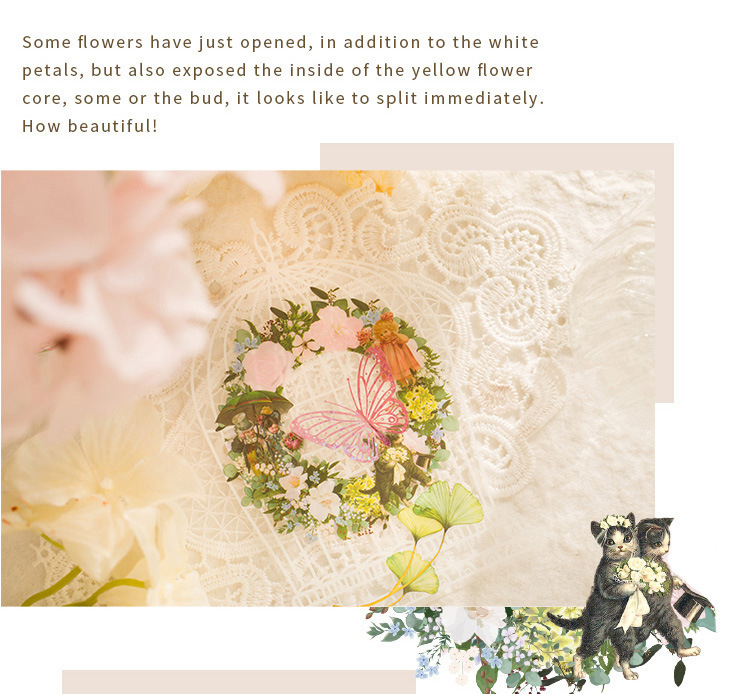 10-Piece "Dream Memory Angel" Vintage Floral Sticker Pack – 6 Botanical Designs, DIY Journaling & Scrapbooking Supplies